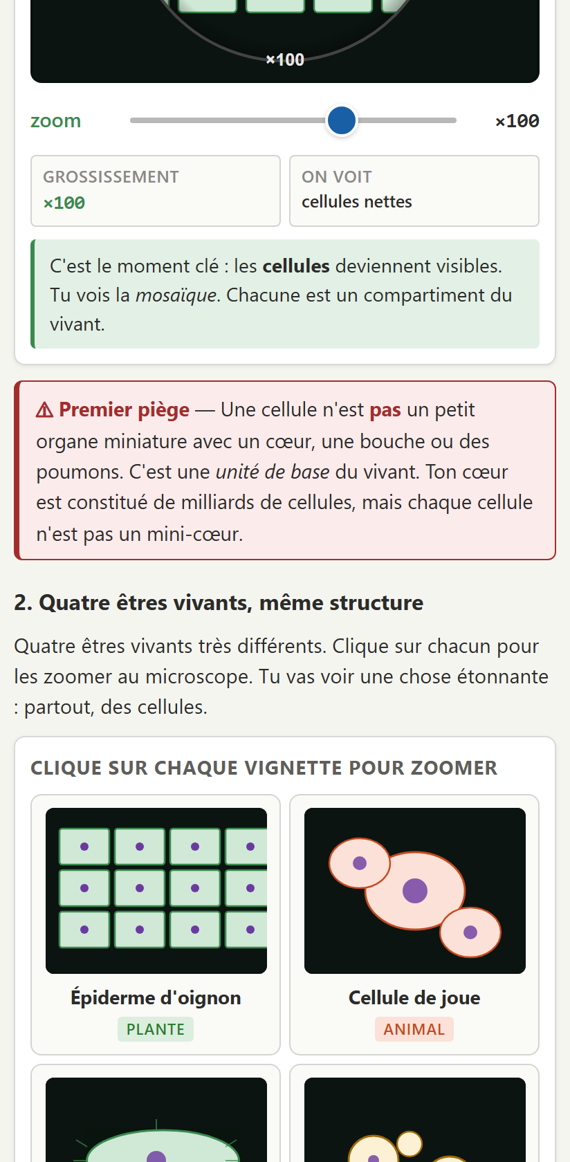 On zoome au microscope sur la cellule